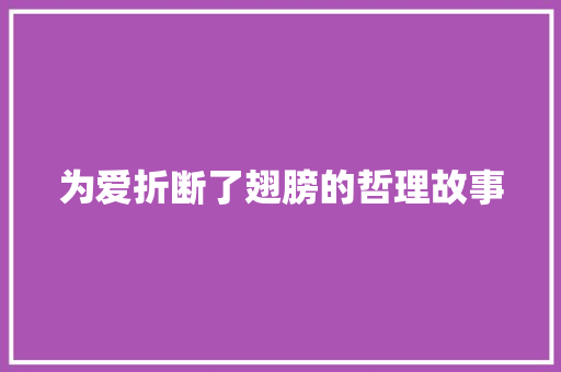 为爱折断了翅膀的哲理故事 综述范文