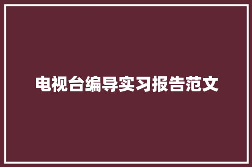 电视台编导实习报告范文