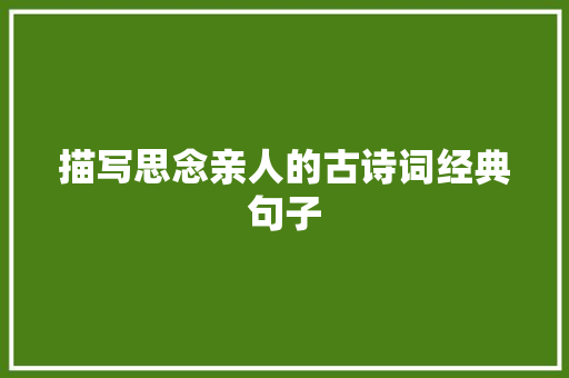 描写思念亲人的古诗词经典句子