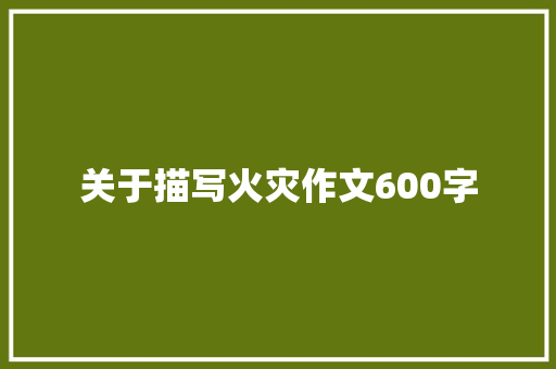 关于描写火灾作文600字