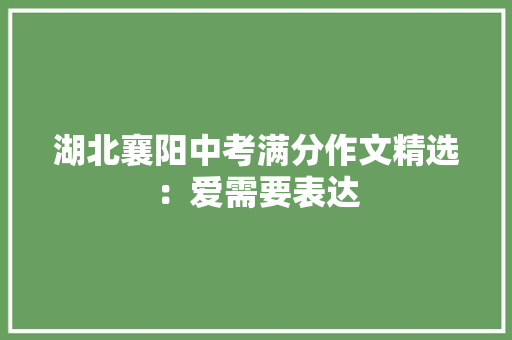 湖北襄阳中考满分作文精选：爱需要表达