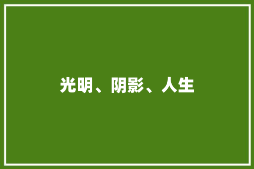 光明、阴影、人生