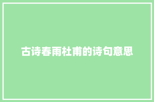 古诗春雨杜甫的诗句意思