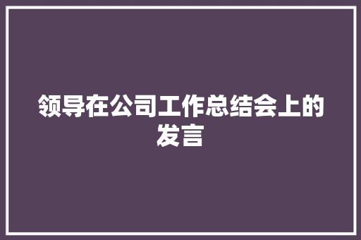 领导在公司工作总结会上的发言 工作总结范文