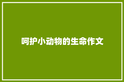 呵护小动物的生命作文 报告范文