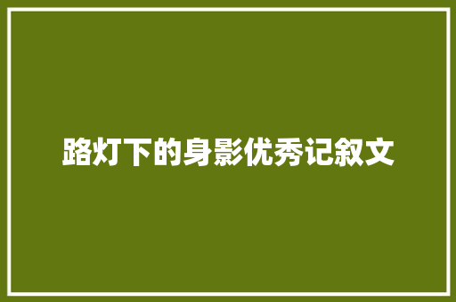 路灯下的身影优秀记叙文