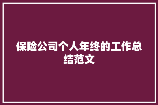 保险公司个人年终的工作总结范文 生活范文