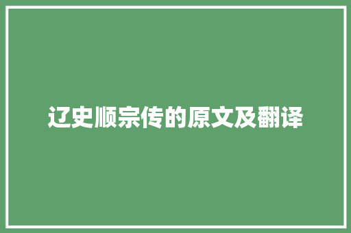 辽史顺宗传的原文及翻译