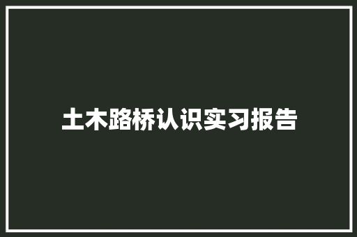 土木路桥认识实习报告