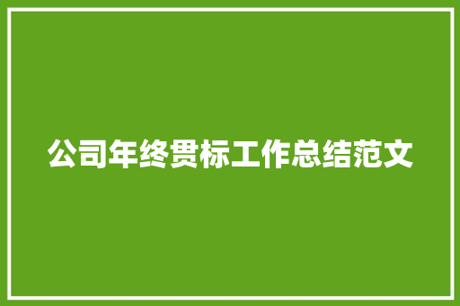 公司年终贯标工作总结范文