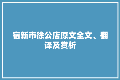 宿新市徐公店原文全文、翻译及赏析