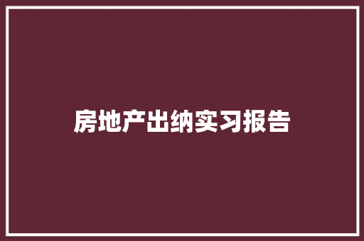 房地产出纳实习报告 演讲稿范文