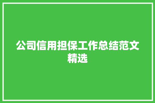 公司信用担保工作总结范文精选