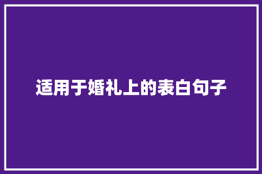 适用于婚礼上的表白句子