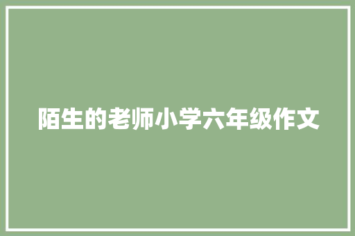 陌生的老师小学六年级作文 演讲稿范文