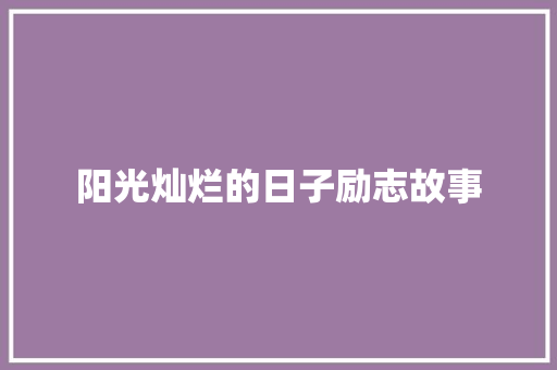 阳光灿烂的日子励志故事