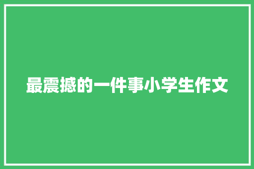 最震撼的一件事小学生作文