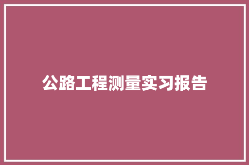 公路工程测量实习报告