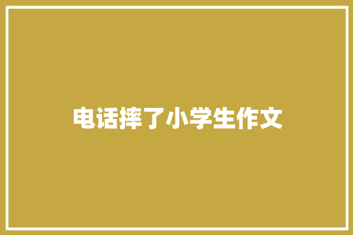 电话摔了小学生作文 简历范文