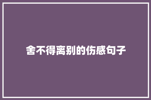 舍不得离别的伤感句子 职场范文