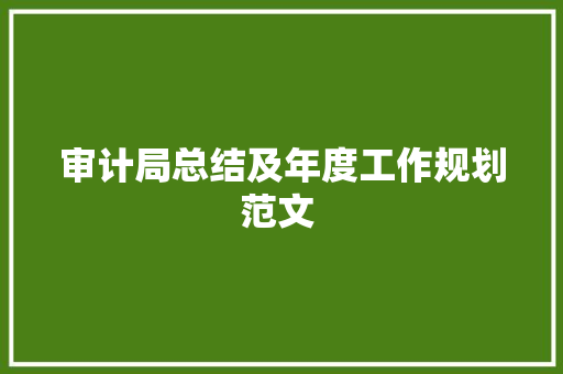 审计局总结及年度工作规划范文 　