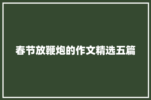 春节放鞭炮的作文精选五篇