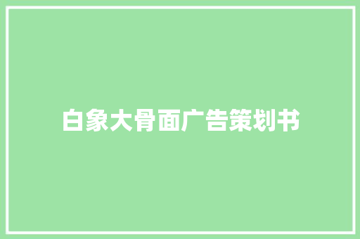 白象大骨面广告策划书