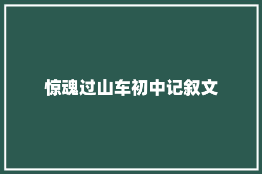 惊魂过山车初中记叙文