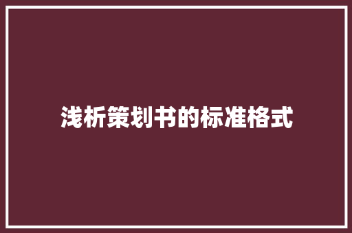 浅析策划书的标准格式