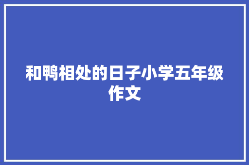 和鸭相处的日子小学五年级作文