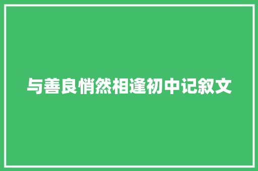 与善良悄然相逢初中记叙文 生活范文