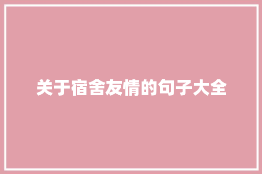 关于宿舍友情的句子大全