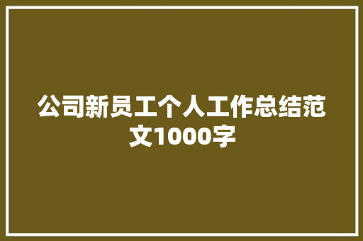 公司新员工个人工作总结范文1000字