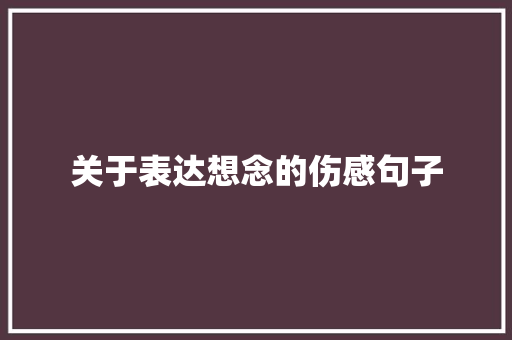 关于表达想念的伤感句子 论文范文