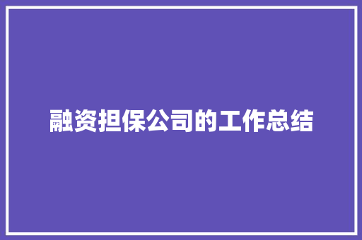 融资担保公司的工作总结