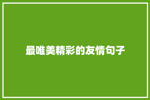 最唯美精彩的友情句子 求职信范文