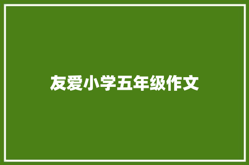 友爱小学五年级作文 书信范文