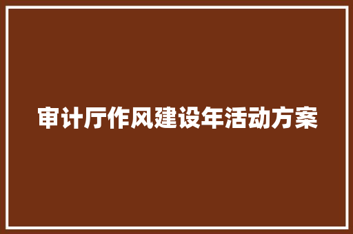 审计厅作风建设年活动方案