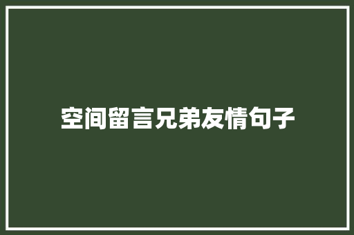 空间留言兄弟友情句子 报告范文