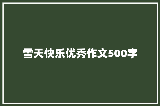 雪天快乐优秀作文500字 演讲稿范文