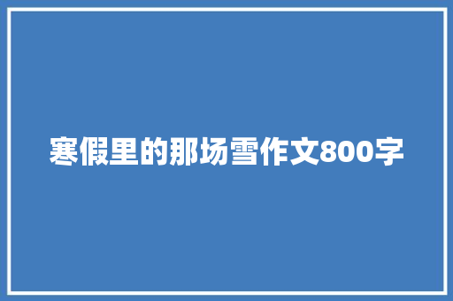 寒假里的那场雪作文800字