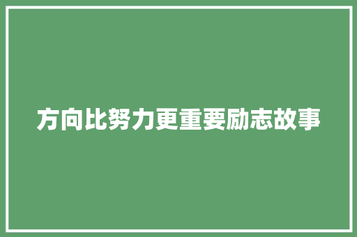 方向比努力更重要励志故事