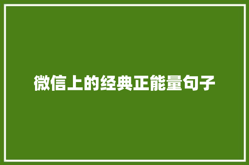 微信上的经典正能量句子 综述范文