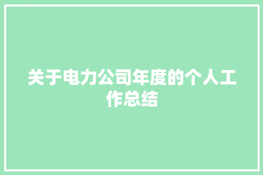 关于电力公司年度的个人工作总结