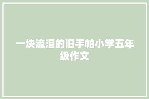 一块流泪的旧手帕小学五年级作文