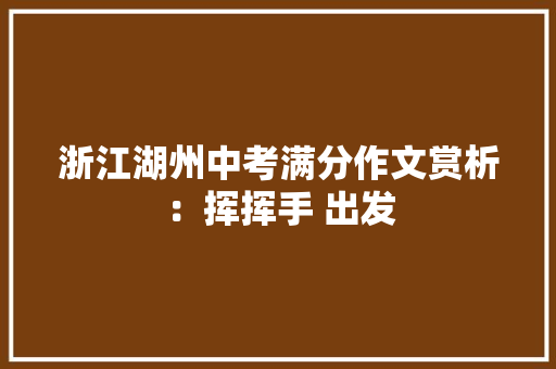 浙江湖州中考满分作文赏析：挥挥手 出发