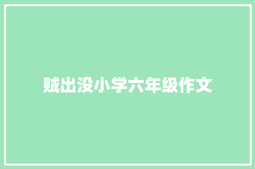 贼出没小学六年级作文