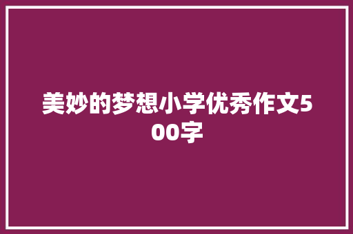 美妙的梦想小学优秀作文500字