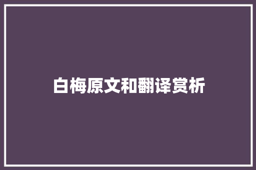 白梅原文和翻译赏析