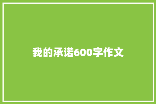 我的承诺600字作文